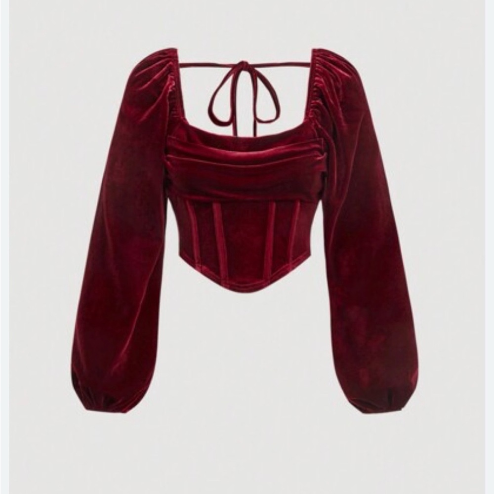 Elegant Velvet Burgundy Corset Top
